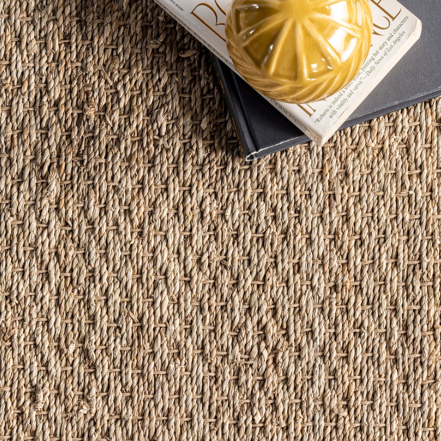 Nuloom Kiana Casual Seagrass Bordered Area Rug