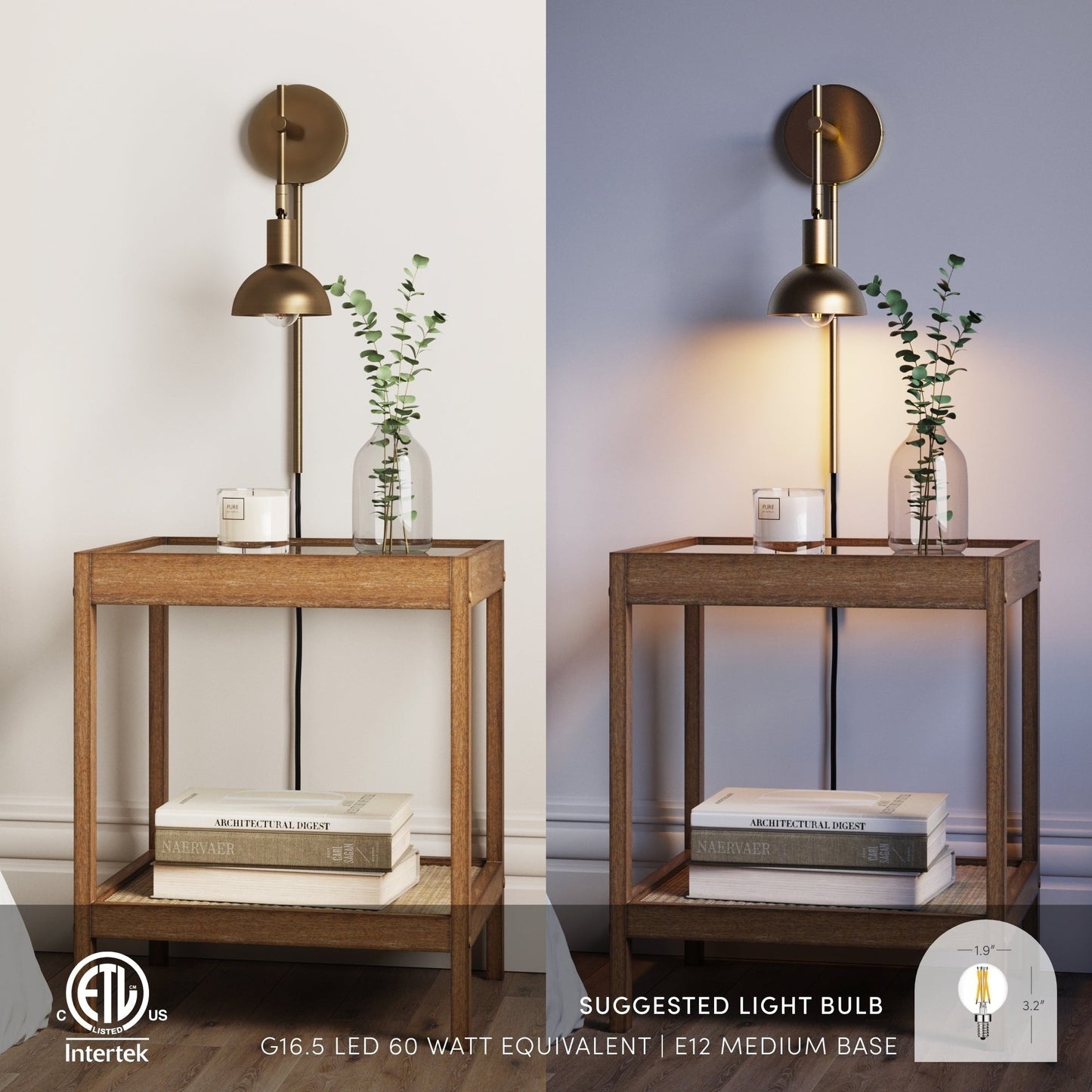 Nathan James Tamlin Wall Mounted Armed Sconce 1-Light Fixture with Plugin and On/Off Switch