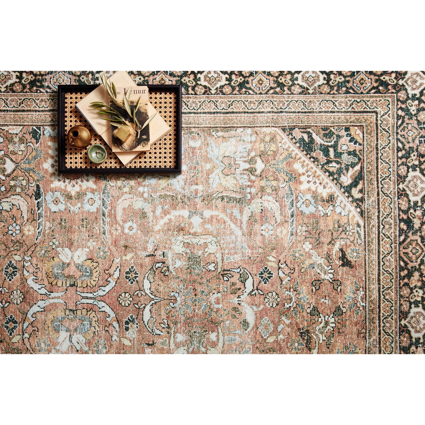 Alexander Home Sophia Printed Botanical Vintage Area Rug