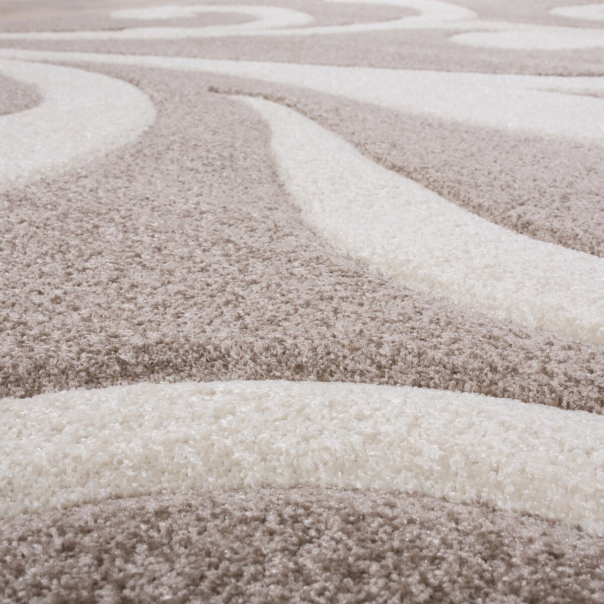 Modern Area Rug Floral Pattern with Contour Cut