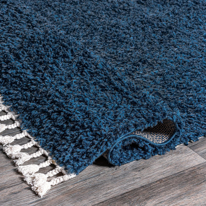 Nuloom Neva Modern Tasseled Shag Area Rug