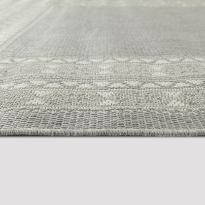 Carew Transitional Border Indoor/Outdoor Area Rug