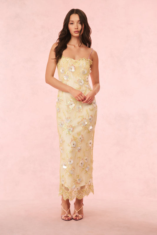 Robe longue en dentelle ornée Emalia