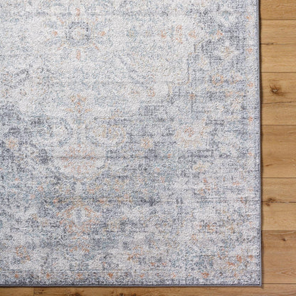 Livabliss Caressa Vintage Boho Area Rug