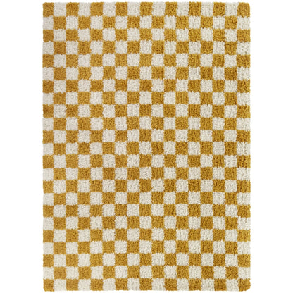 Mackie Checkered Shag Area Rug