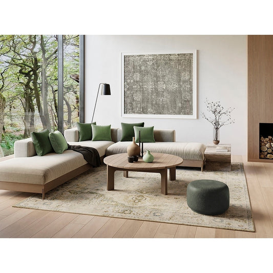 Nourison Astra Machine Washable Distressed Area Rug