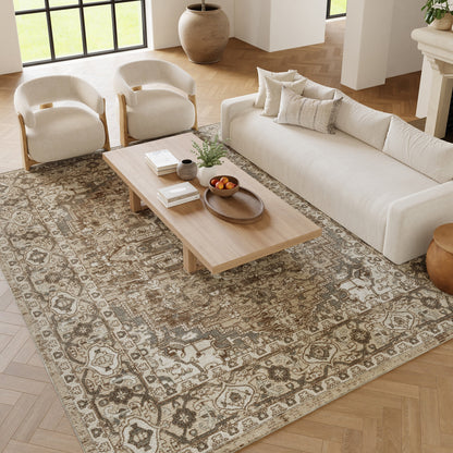 Nourison Quarry Indoor only Persian Area Rug.