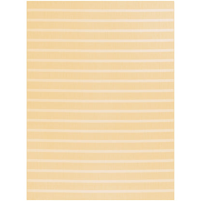 Nourison Selerno Indoor/Outdoor Striped Area Rug.