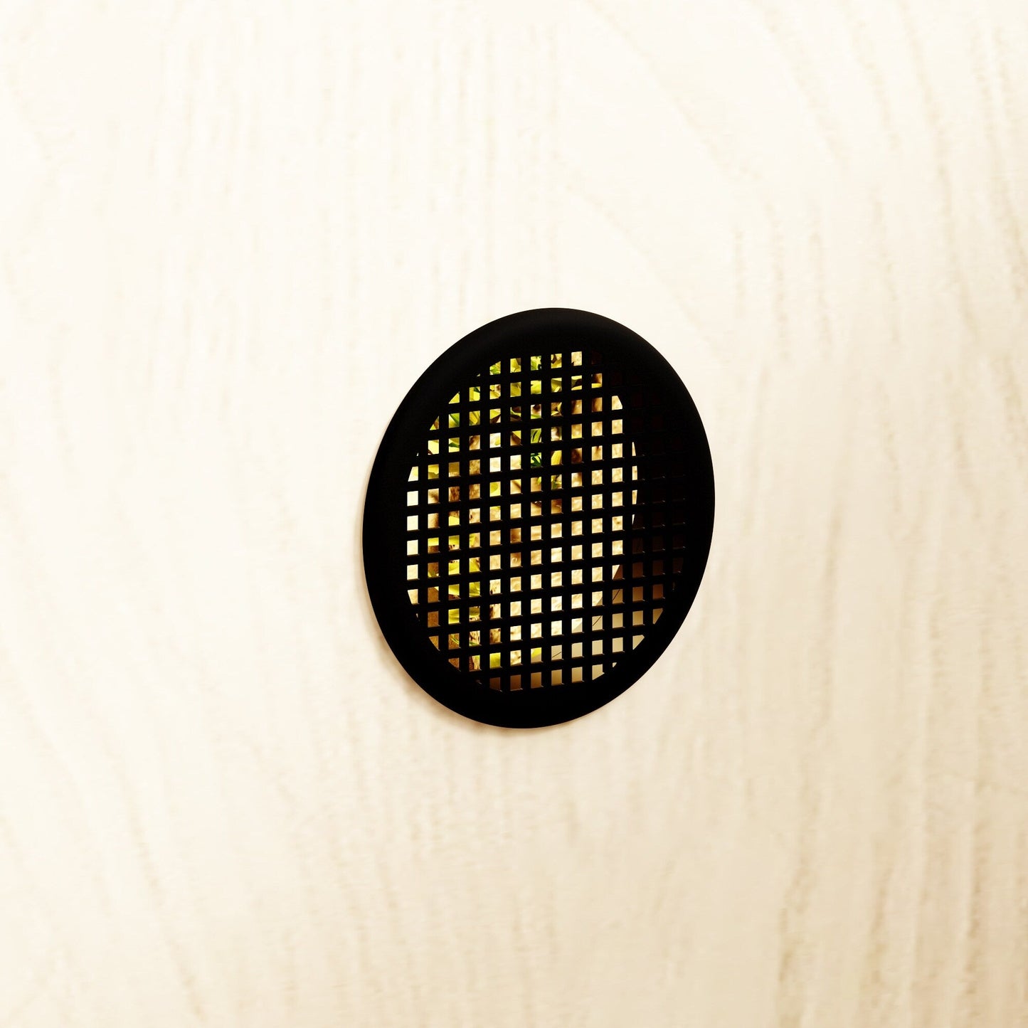 Habitat pour reptiles - Terrarium spacieux pour lézards, serpents et plus - 47,2